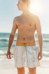 LB Men's Swim Men's Surf Shorts (color stripes)