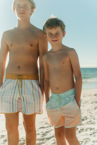 LB Men's Swim Men's Surf Shorts (color stripes)
