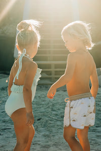 LB Boy's Swim Board Shorts (ash sun)