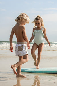 LB Boy's Swim Board Shorts (ash sun)