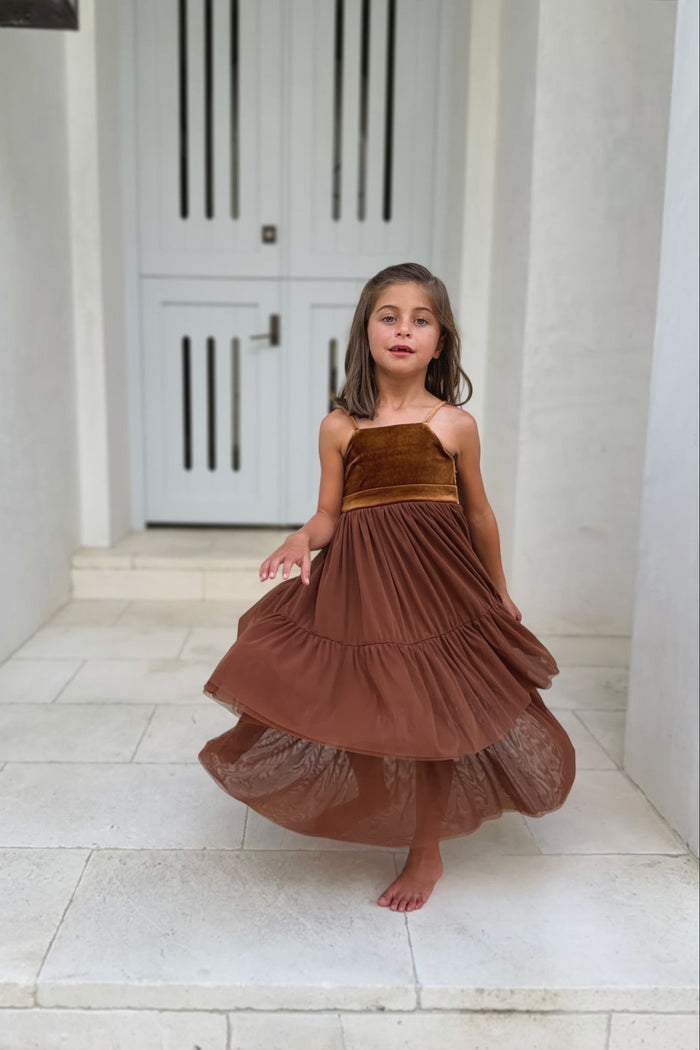 SS Girl's Dress Estelle Dress (velvet cocoa tulle)