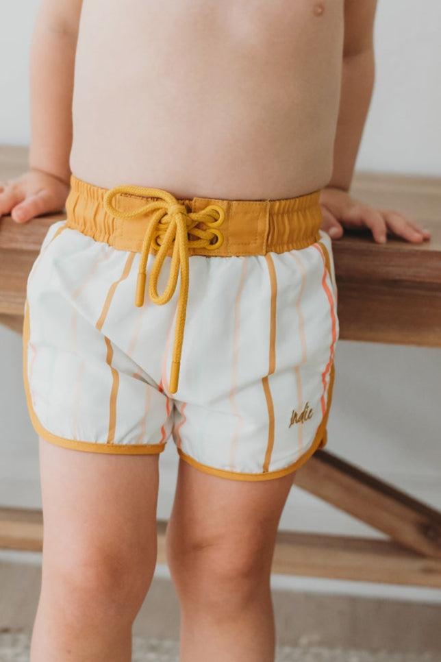 LB Boy's Swim Surf Shorts (color stripes)