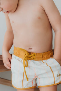 LB Boy's Swim Surf Shorts (color stripes)