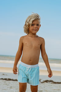 LB Boy's Swim Board Shorts (mint tonal stripe) FINAL SALE