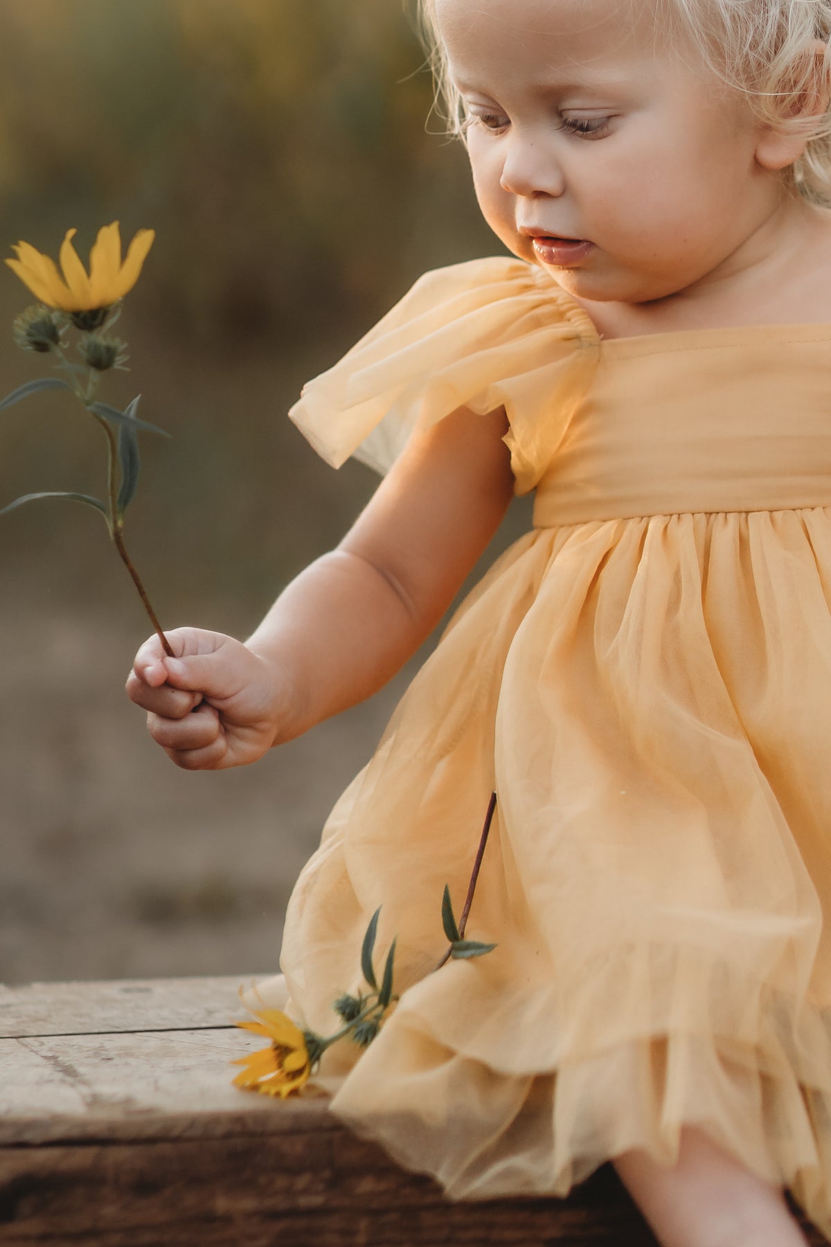 SS Girl's Dress Fawn Dress (saffron tulle)
